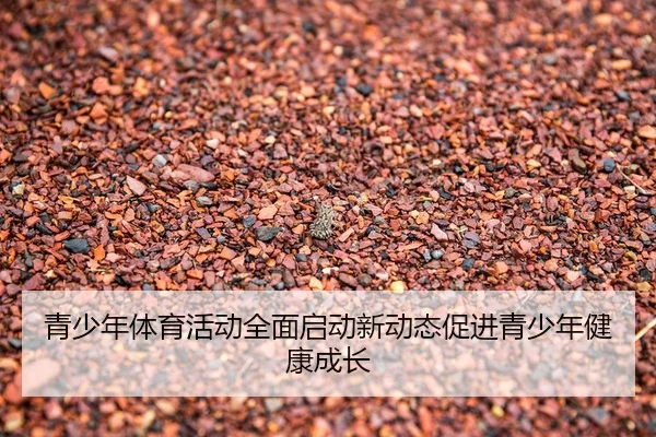青少年体育活动全面启动新动态促进青少年健康成长